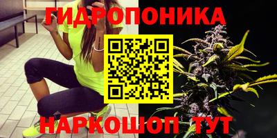2c-b Новодвинск