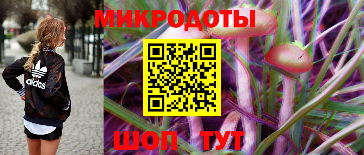 Галлюциногенные грибы мухоморы Вичуга